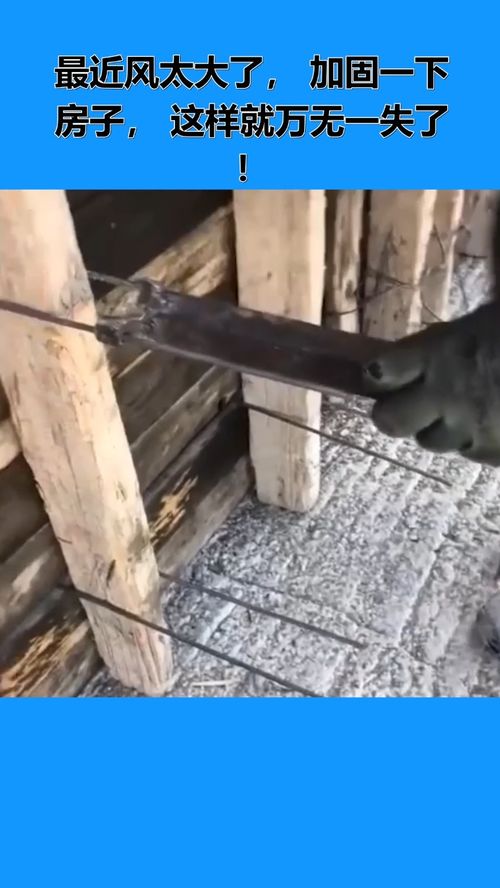 房屋加固指南 抵御強風，構筑安全家園